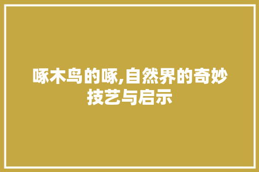 啄木鸟的啄,自然界的奇妙技艺与启示
