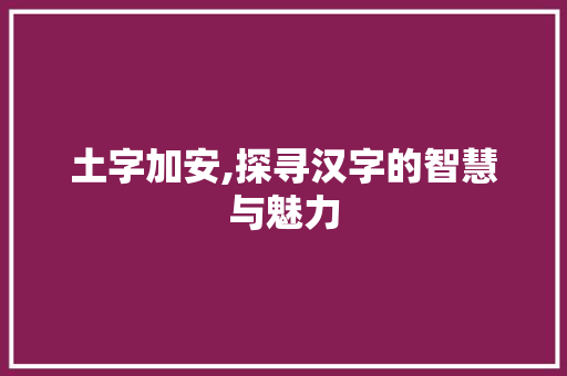 土字加安,探寻汉字的智慧与魅力