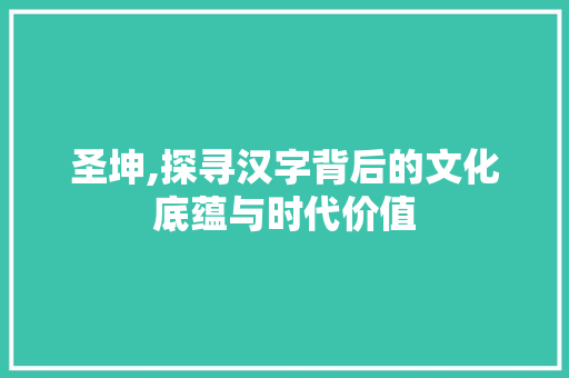 圣坤,探寻汉字背后的文化底蕴与时代价值