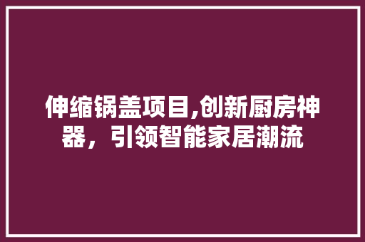 伸缩锅盖项目,创新厨房神器，引领智能家居潮流