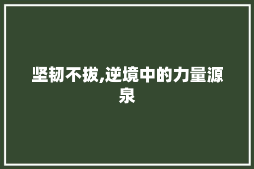 坚韧不拔,逆境中的力量源泉