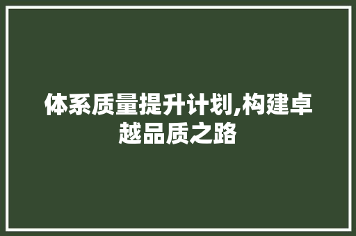 体系质量提升计划,构建卓越品质之路