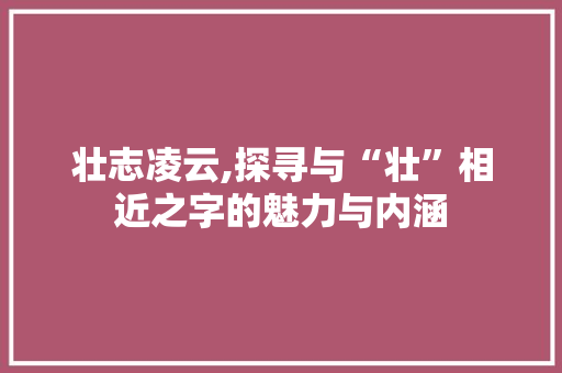 壮志凌云,探寻与“壮”相近之字的魅力与内涵