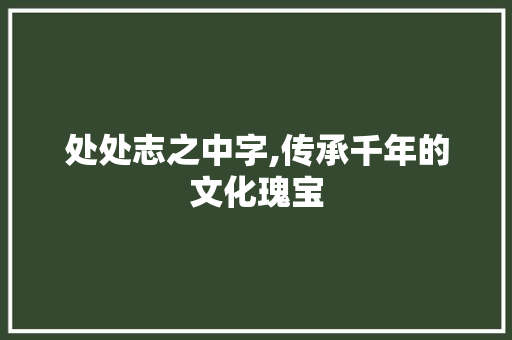 处处志之中字,传承千年的文化瑰宝