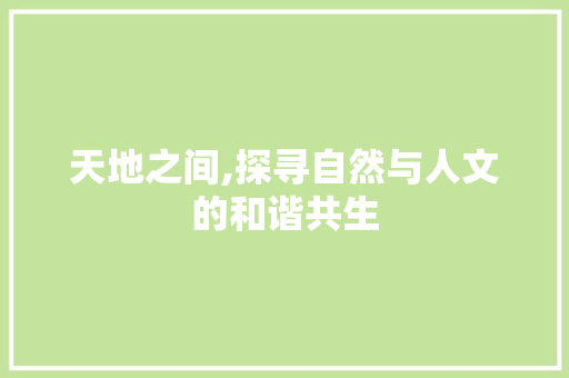 天地之间,探寻自然与人文的和谐共生