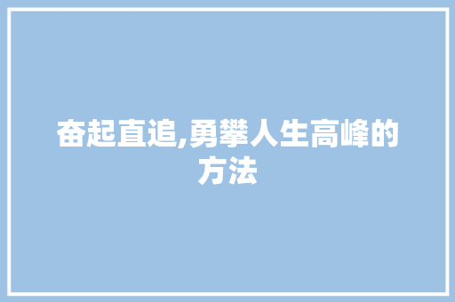 奋起直追,勇攀人生高峰的方法