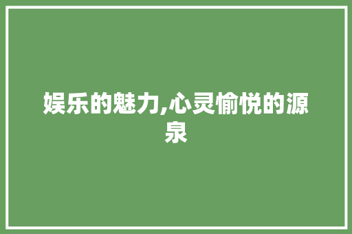 娱乐的魅力,心灵愉悦的源泉