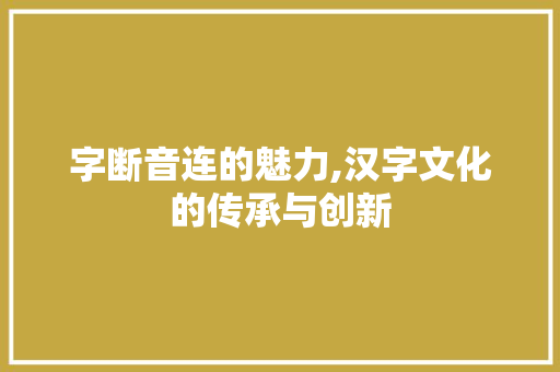 字断音连的魅力,汉字文化的传承与创新