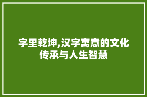 字里乾坤,汉字寓意的文化传承与人生智慧