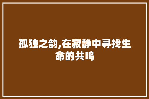孤独之韵,在寂静中寻找生命的共鸣