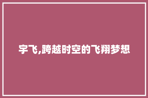 宇飞,跨越时空的飞翔梦想