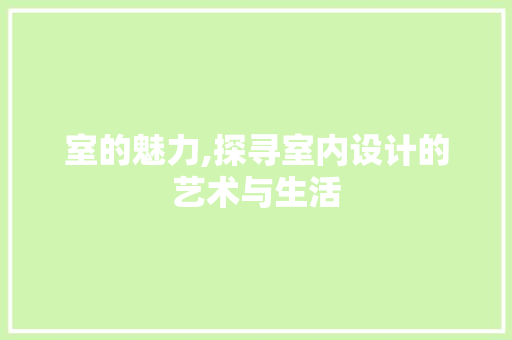 室的魅力,探寻室内设计的艺术与生活