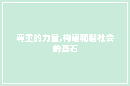 尊重的力量,构建和谐社会的基石
