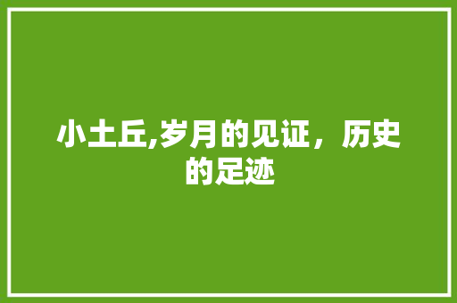 小土丘,岁月的见证，历史的足迹