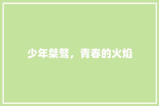 少年桀骜，青春的火焰