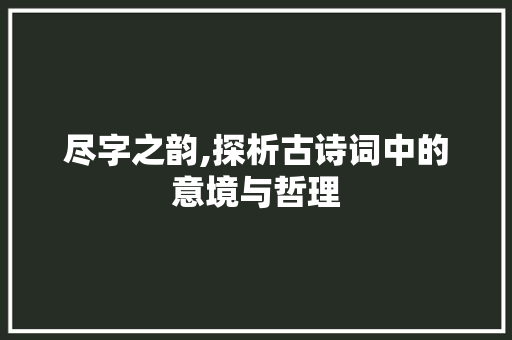 尽字之韵,探析古诗词中的意境与哲理