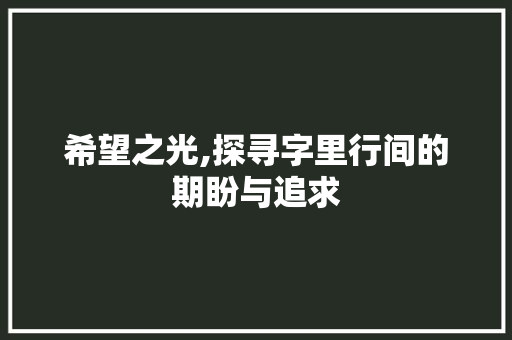 希望之光,探寻字里行间的期盼与追求