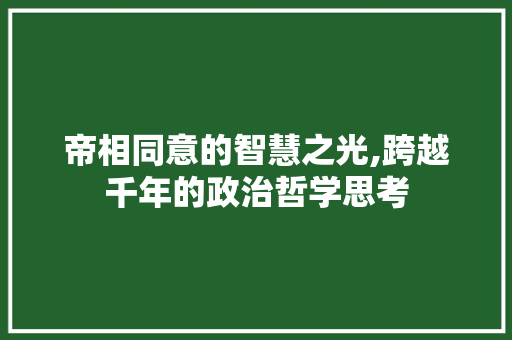 帝相同意的智慧之光,跨越千年的政治哲学思考