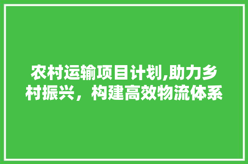 农村运输项目计划,助力乡村振兴，构建高效物流体系