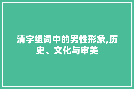 清字组词中的男性形象,历史、文化与审美