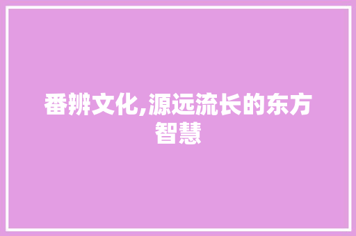 番辨文化,源远流长的东方智慧