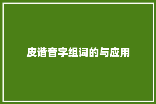 皮谐音字组词的与应用