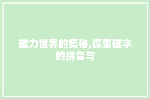 磁力世界的奥秘,探索磁字的拼音与