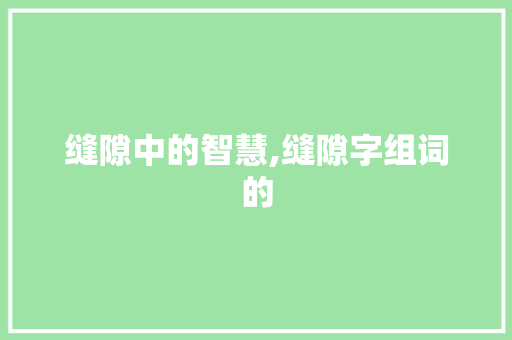 缝隙中的智慧,缝隙字组词的