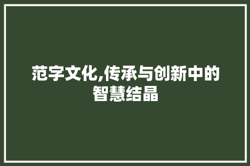 范字文化,传承与创新中的智慧结晶