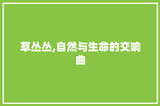 草丛丛,自然与生命的交响曲