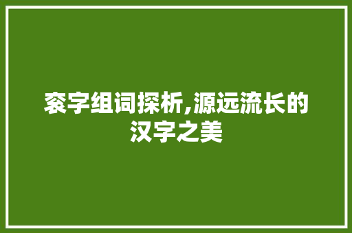 衮字组词探析,源远流长的汉字之美
