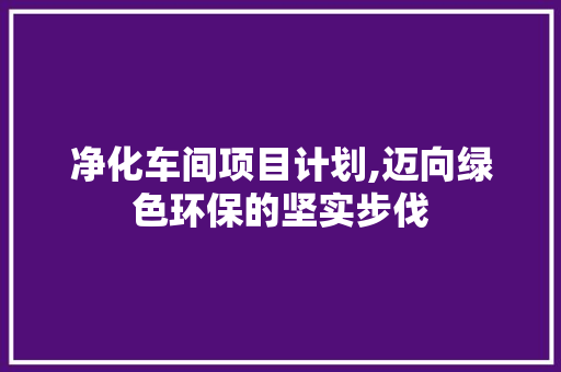 净化车间项目计划,迈向绿色环保的坚实步伐