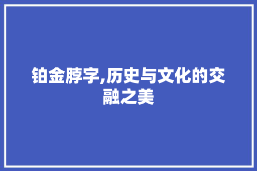 铂金脖字,历史与文化的交融之美