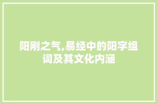 阳刚之气,易经中的阳字组词及其文化内涵 工作类