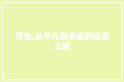 驽生,从平凡到卓越的蜕变之路