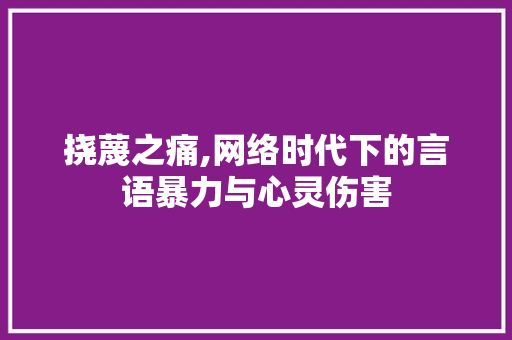挠蔑之痛,网络时代下的言语暴力与心灵伤害