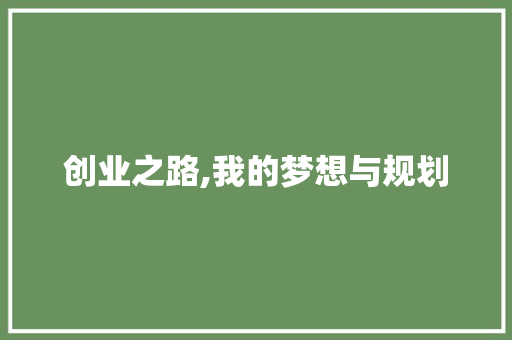 创业之路,我的梦想与规划