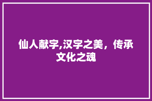 仙人献字,汉字之美，传承文化之魂