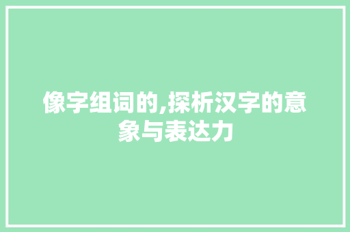 像字组词的,探析汉字的意象与表达力