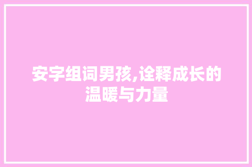 安字组词男孩,诠释成长的温暖与力量