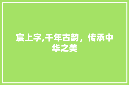 宸上字,千年古韵，传承中华之美