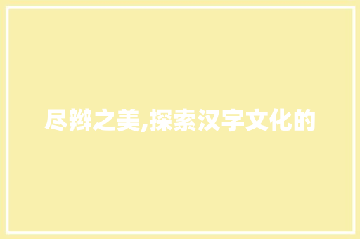 尽辫之美,探索汉字文化的
