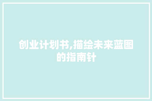 创业计划书,描绘未来蓝图的指南针