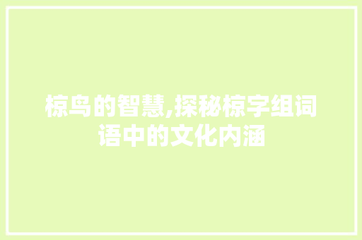 椋鸟的智慧,探秘椋字组词语中的文化内涵