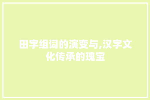 田字组词的演变与,汉字文化传承的瑰宝