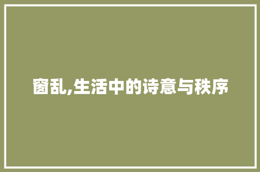 窗乱,生活中的诗意与秩序