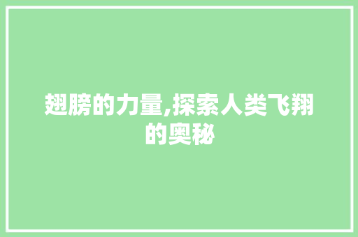 翅膀的力量,探索人类飞翔的奥秘