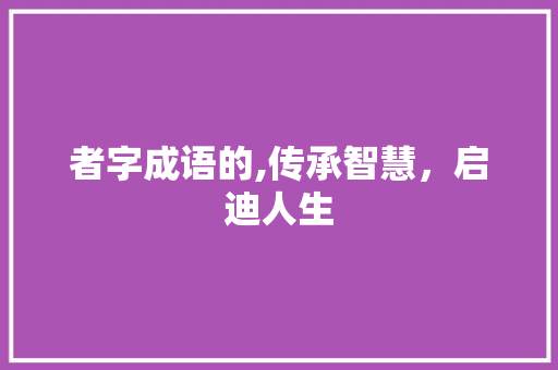 者字成语的,传承智慧，启迪人生