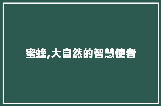 蜜蜂,大自然的智慧使者