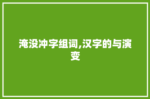 淹没冲字组词,汉字的与演变